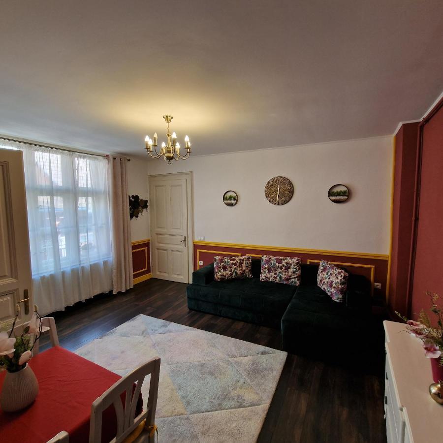 Central Park Apartment シギショアラ エクステリア 写真