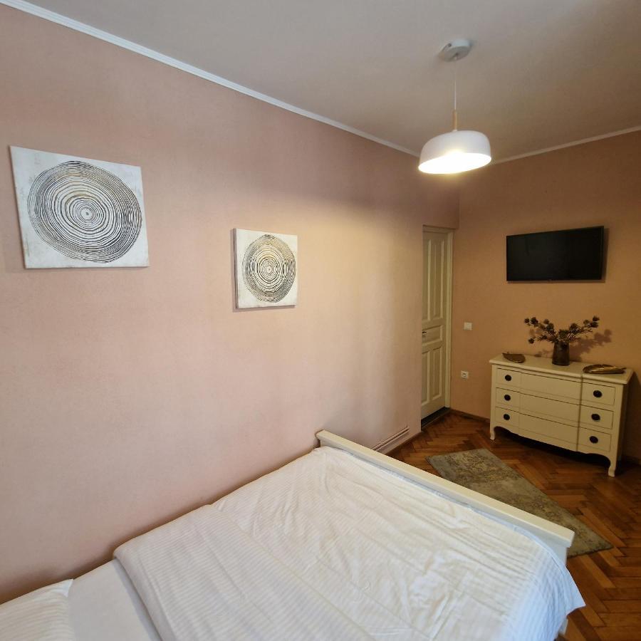 Central Park Apartment シギショアラ エクステリア 写真