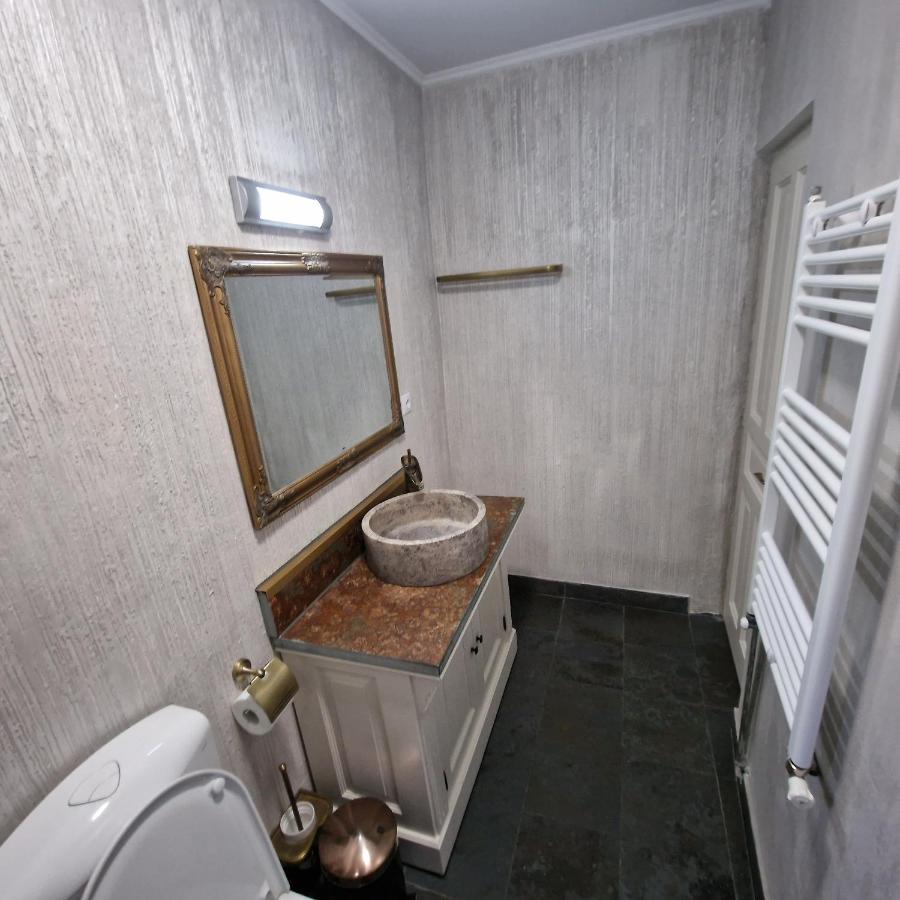 Central Park Apartment シギショアラ エクステリア 写真