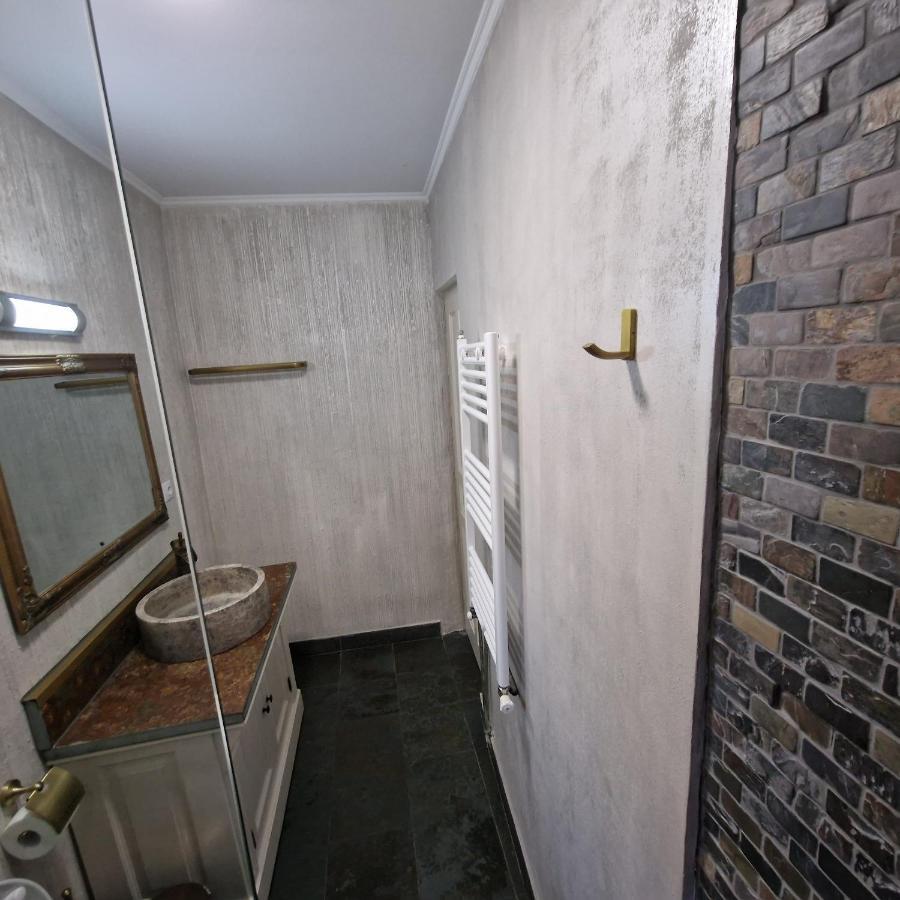 Central Park Apartment シギショアラ エクステリア 写真
